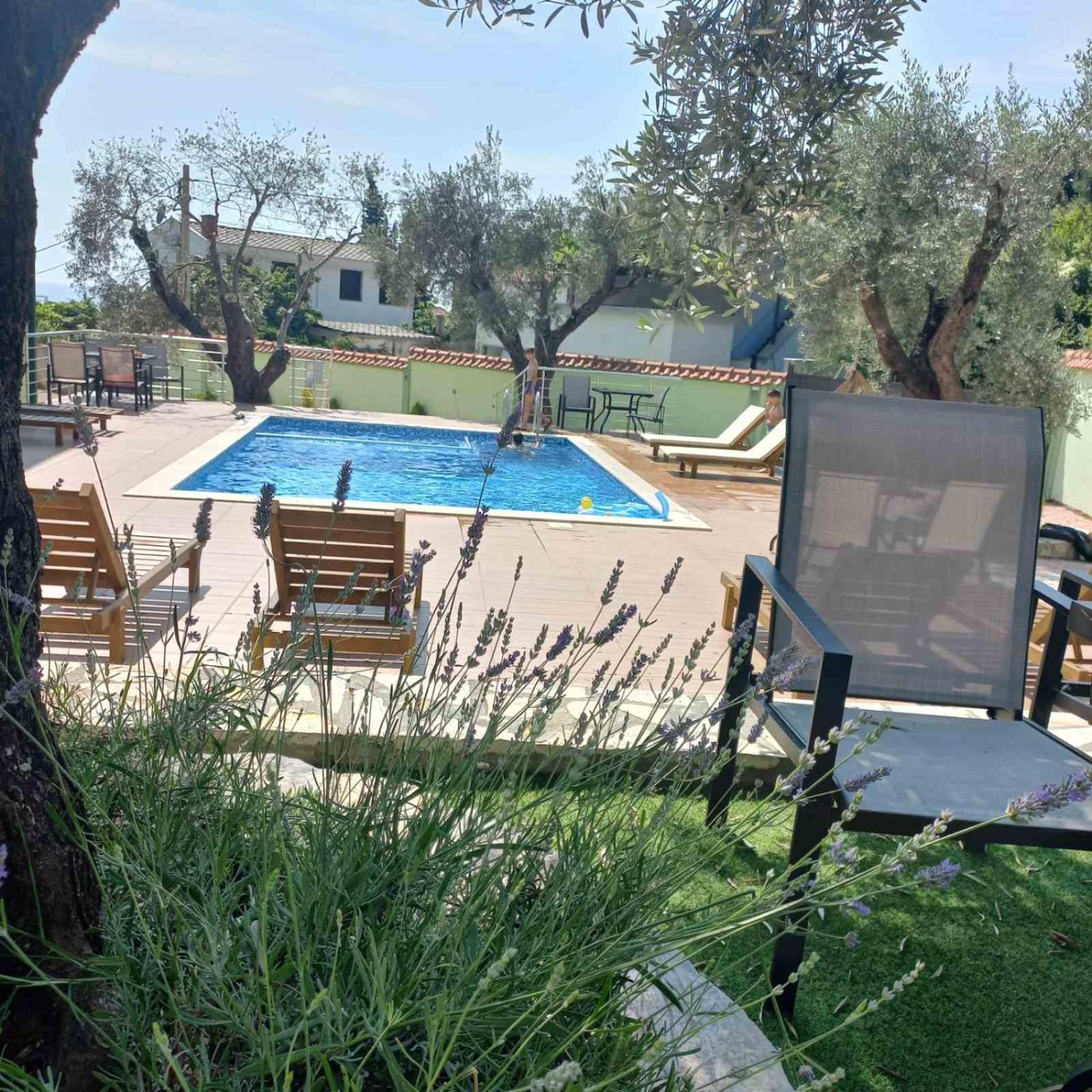 Dolphin Appartement